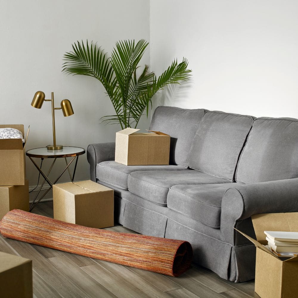 Mudanzas El Cid – Milla de Oro de Madrid – barrio de Salamanca – imagen 3