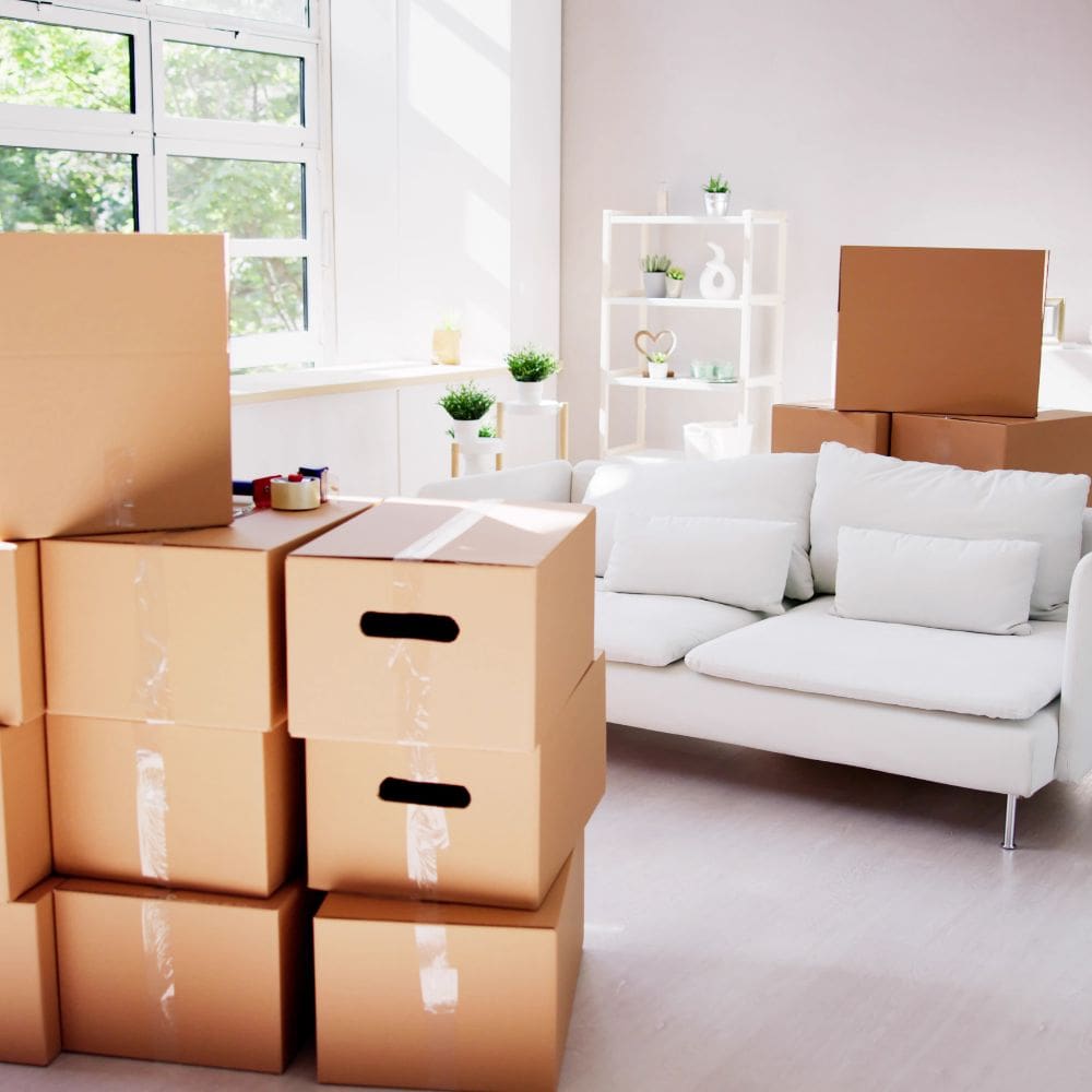 Mudanzas Gilmer – Milla de Oro – Barrio Salamanca – Madrid – imagen 3